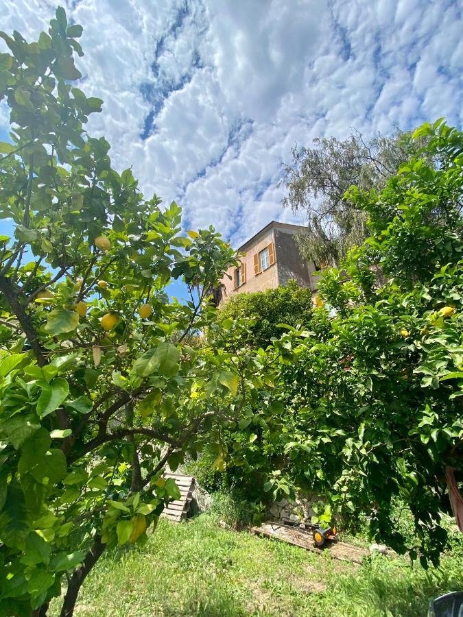 Out Finish Villa Cassi Finale Ligure Exterior foto